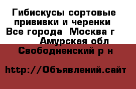 Гибискусы сортовые, прививки и черенки - Все города, Москва г.  »    . Амурская обл.,Свободненский р-н